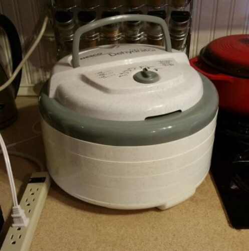 Food Dehydrator Pros and Cons to Consider Before Buying